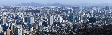 Seul, Güney Kore - 15 Ocak 2025: Güney Kore 'deki Namsea Seul Kulesi' nden Seul 'ün silueti