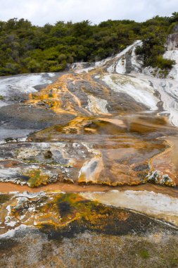 Yeni Zelanda 'daki Orakei Korako Jeotermal Parkı