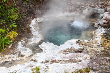 Yeni Zelanda 'daki Orakei Korako Jeotermal Parkı