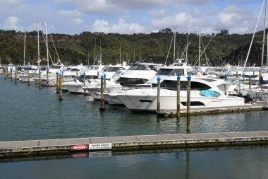 Whitianga, Yeni Zelanda - 17 Ocak 2025: Yeni Zelanda 'daki Whitianga Limanı