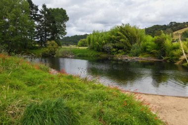 Yeni Zelanda 'daki Waiwawa nehrine bak