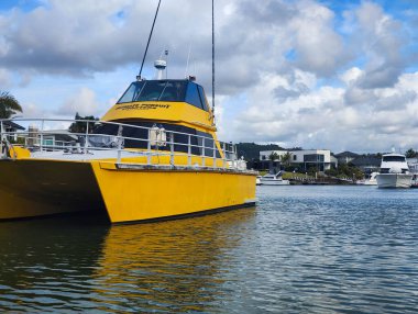 Whitianga, Yeni Zelanda - 17 Ocak 2025: Yeni Zelanda Whitianga Kanalı 'nda kano