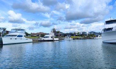 Whitianga, Yeni Zelanda - 17 Ocak 2025: Yeni Zelanda Whitianga Kanalı üzerindeki villalar