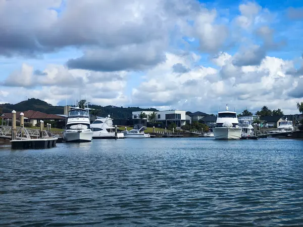 Whitianga, Yeni Zelanda - 17 Ocak 2025: Yeni Zelanda Whitianga Kanalı 'nda kano