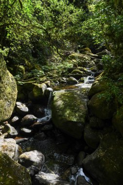 Yeni Zelanda 'daki Wairere şelalelerine giden yol.