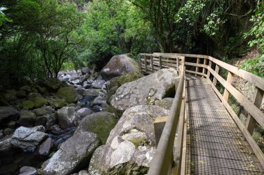 Yeni Zelanda 'daki Wairere şelalelerine giden yol.