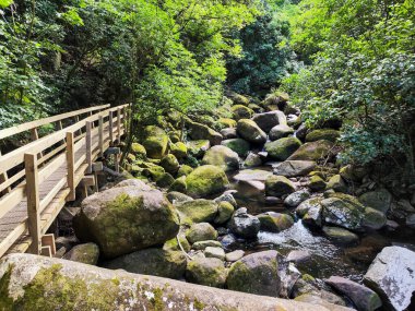 Yeni Zelanda 'daki Wairere şelalelerine giden yol.