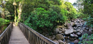 Yeni Zelanda 'daki Wairere şelalelerine giden yol.