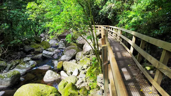 Yeni Zelanda 'daki Wairere şelalelerine giden yol.