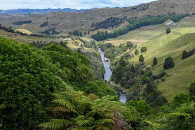 Yeni Zelanda 'nın kuzey adasındaki kırsal alan