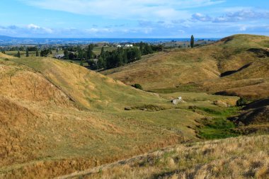 Yeni Zelanda 'daki kuzey adasının kırsal kesiminde insansız hava aracı görüntüsü