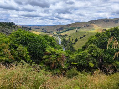 Parikino 'nun Yeni Zelanda' daki manzarasına insansız hava aracı görüntüsü
