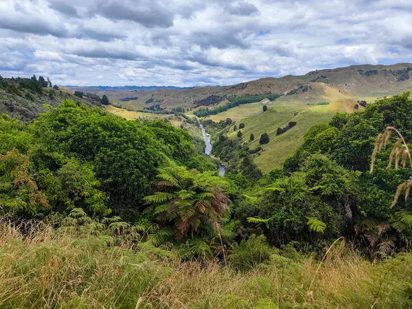 Parikino 'nun Yeni Zelanda' daki manzarasına insansız hava aracı görüntüsü