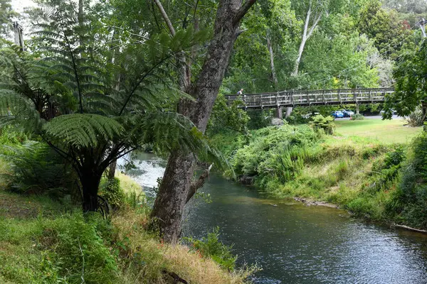 Waikino Köprüsü ve Yeni Zelanda 'daki Köy Anıtı