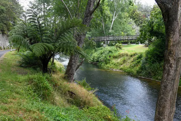 Waikino Köprüsü ve Yeni Zelanda 'daki Köy Anıtı