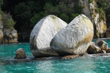 Yeni Zelanda 'daki Abel Tasman Ulusal Parkı üzerindeki Apple Rock' ı böl