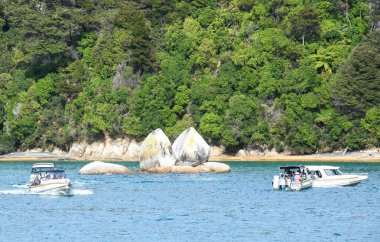 Apple tree Bay, Yeni Zelanda - 28 Ocak 2025: Yeni Zelanda 'daki Abel Tasman Ulusal Parkı' nda Split Apple Rock 'ı ziyaret eden turist gemisi