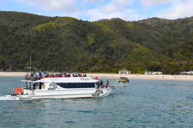 Anchorage, Yeni Zelanda - 28 Ocak 2025: Yeni Zelanda 'daki Abel Tasman Ulusal Parkı' ndaki Anchorage plajına gelen turist gemisi