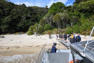 Medlands plajı, Yeni Zelanda - 28 Ocak 2025: Yeni Zelanda 'daki Abel Tasman Ulusal Parkı' ndaki Medlands plajına gelen turist gemisi