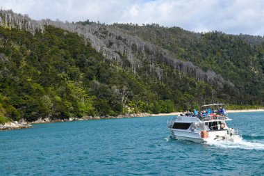 Medlands plajı, Yeni Zelanda - 28 Ocak 2025: Yeni Zelanda 'daki Abel Tasman Ulusal Parkı' ndaki Medlands plajına gelen turist gemisi