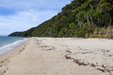 Yeni Zelanda 'daki Abel Tasman Ulusal Parkı' nın manzarası