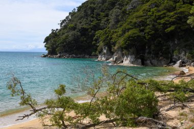 Yeni Zelanda 'daki Abel Tasman Ulusal Parkı' nın manzarası