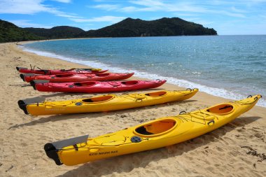 Yeni Zelanda 'daki Abel Tasman Ulusal Parkı' nın manzarası