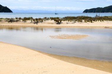 Yeni Zelanda 'daki Abel Tasman Ulusal Parkı' nın manzarası