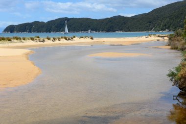 Yeni Zelanda 'daki Abel Tasman Ulusal Parkı' nın manzarası
