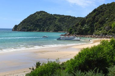 Awaroa, Yeni Zelanda - 28 Ocak 2025: Yeni Zelanda 'daki Abel Tasman Ulusal Parkı' ndaki Awaroa plajına gelen turist gemisi