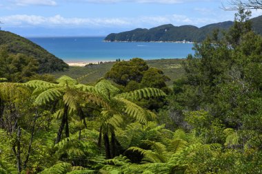 Yeni Zelanda 'daki Abel Tasman Ulusal Parkı' nın manzarası