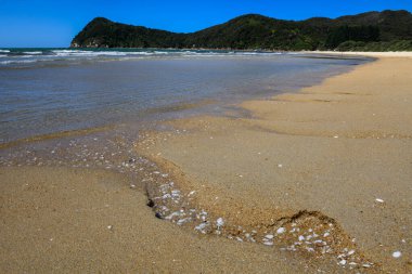 Yeni Zelanda 'daki Abel Tasman Ulusal Parkı' nın manzarası