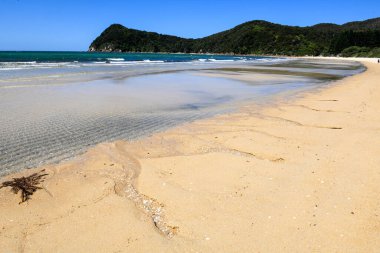 Yeni Zelanda 'daki Abel Tasman Ulusal Parkı' nın manzarası