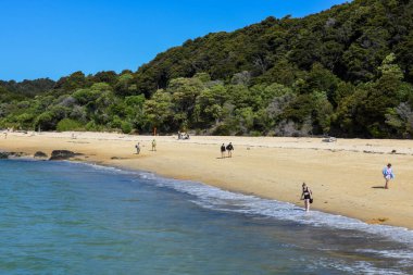 Yeni Zelanda 'daki Abel Tasman Ulusal Parkı' nın manzarası