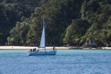 Yeni Zelanda 'daki Abel Tasman Ulusal Parkı' nın manzarası