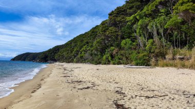 Yeni Zelanda 'daki Abel Tasman Ulusal Parkı' nın manzarası