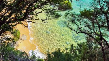 Yeni Zelanda 'daki Abel Tasman Ulusal Parkı' nın manzarası