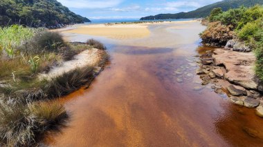 Yeni Zelanda 'daki Abel Tasman Ulusal Parkı' nın manzarası