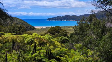 Yeni Zelanda 'daki Abel Tasman Ulusal Parkı' nın manzarası