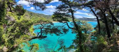Yeni Zelanda 'daki Abel Tasman Ulusal Parkı' nın manzarası
