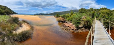 Yeni Zelanda 'daki Abel Tasman Ulusal Parkı' nın manzarası