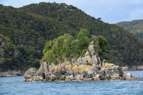 Yeni Zelanda 'daki Abel Tasman Ulusal Parkı' nın manzarası
