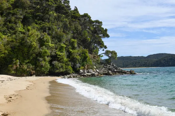 Yeni Zelanda 'daki Abel Tasman Ulusal Parkı' nın manzarası