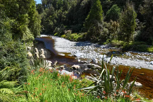 Yeni Zelanda 'daki Matheson Gölü' nde yürüyüş doğası