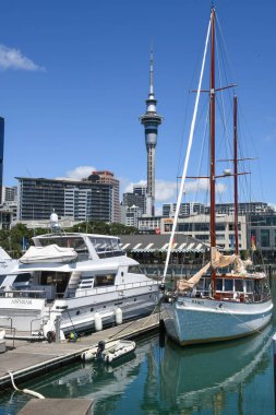 Auckland, Yeni Zelanda - 8 Şubat 2025: Yeni Zelanda şehir merkezindeki Auckland manzarası