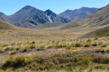 Yeni Zelanda 'daki manzaraya bak