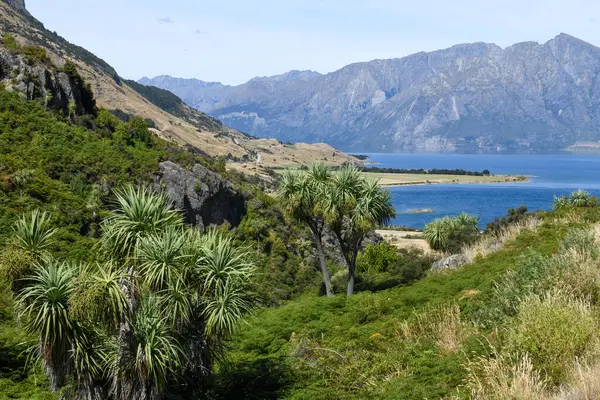 Yeni Zelanda 'daki Hawea Gölü' nde İHA görüntüsü