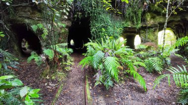 Yeni Zelanda 'daki Charleston' da Mitchells Gully Altın Madeni