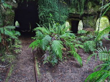 Yeni Zelanda 'daki Charleston' da Mitchells Gully Altın Madeni
