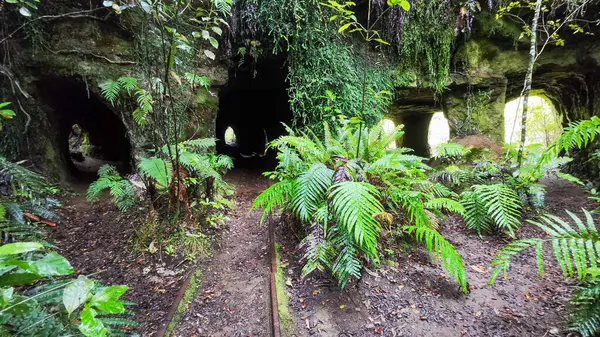 Yeni Zelanda 'daki Charleston' da Mitchells Gully Altın Madeni